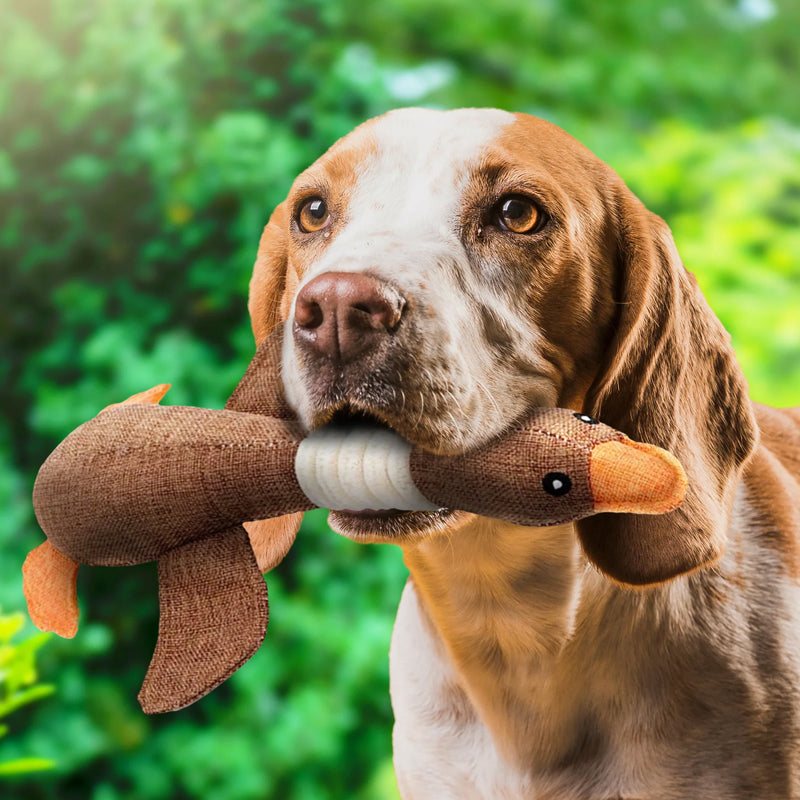 Avelena | Unzerstörbares Hundespielzeug (1+1 GRATIS) - ToughGoose