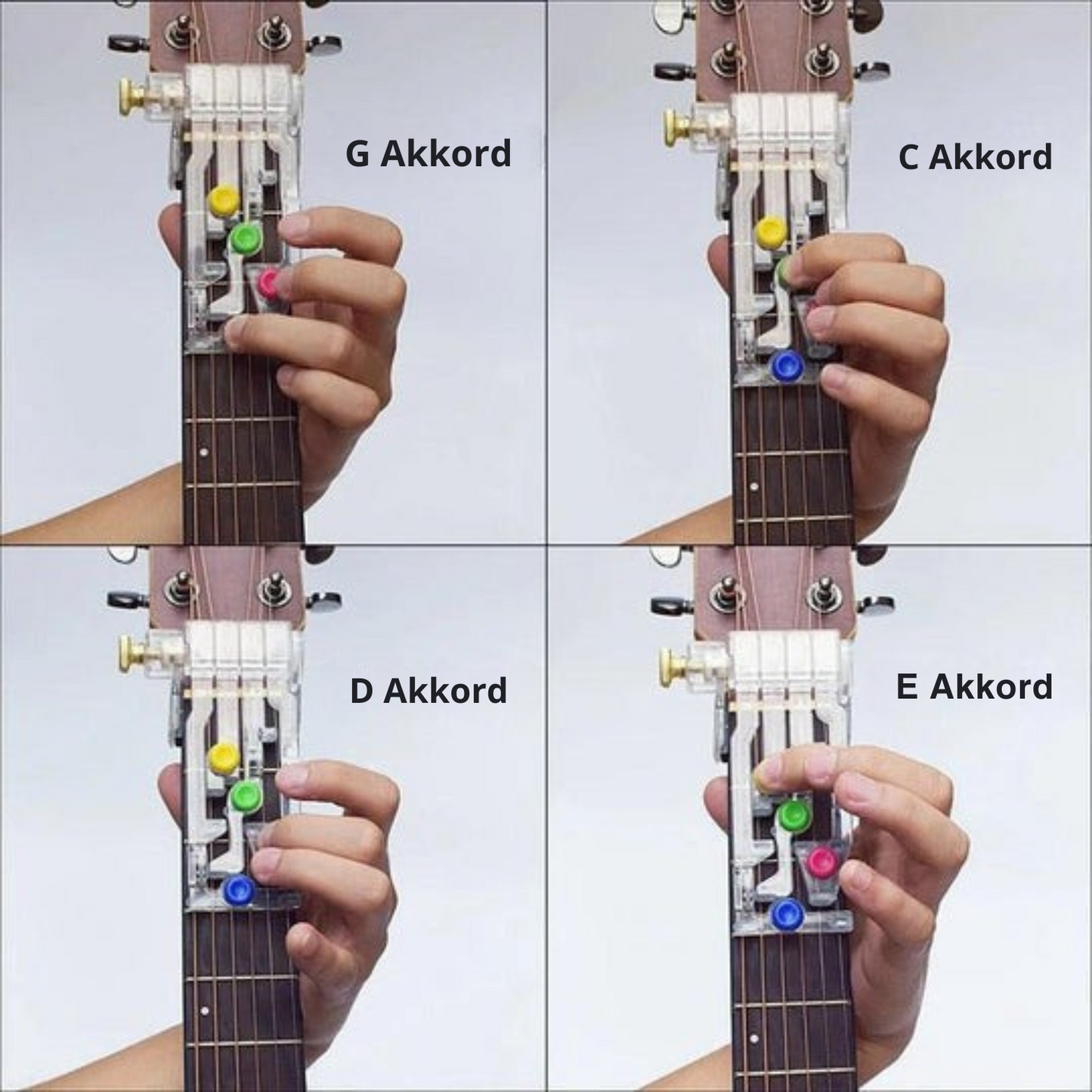 Avelena | StringLeitfaden Master Guitar Basics