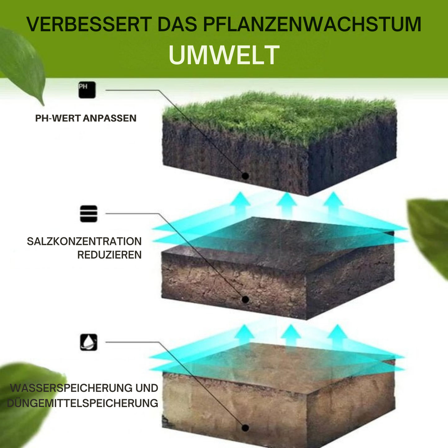 Avelena | SicherWachsen Schnelle Gartenrestaurierung