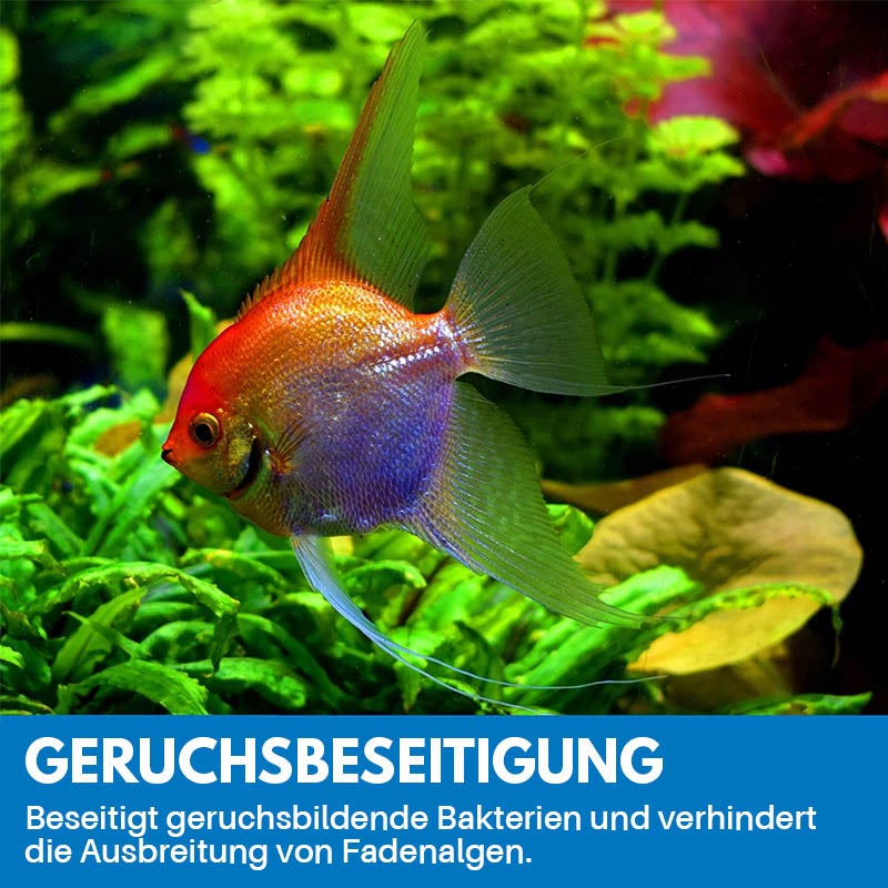 Avelena | Reinigungspulver Für Aquarium