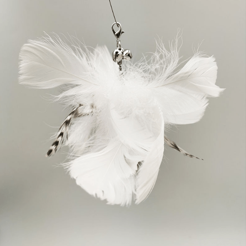 Avelena | VerspieltePfoten Kätzchen spielen Teaser Wand Spielzeug