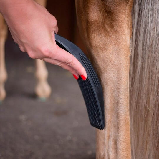 Avelena | 6-in-1 Pferdepflegebürste - EquiGlow