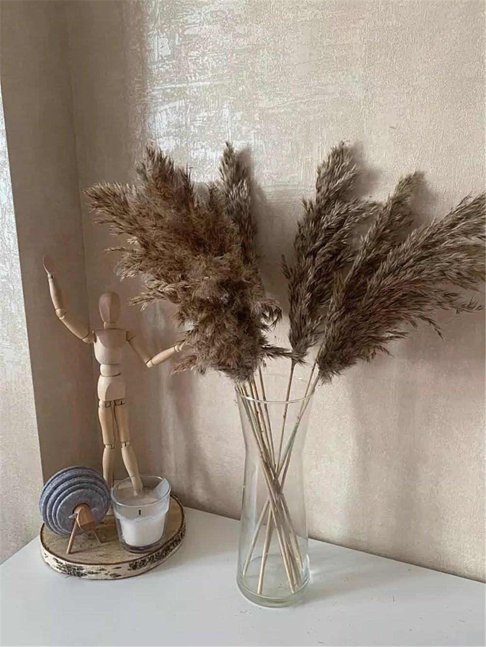 Avelena | 60 cm natürlicher, echter, braun-beiger getrockneter Pampasgrasstrauß │ flauschige Feder für moderne Boho-Heimdekoration