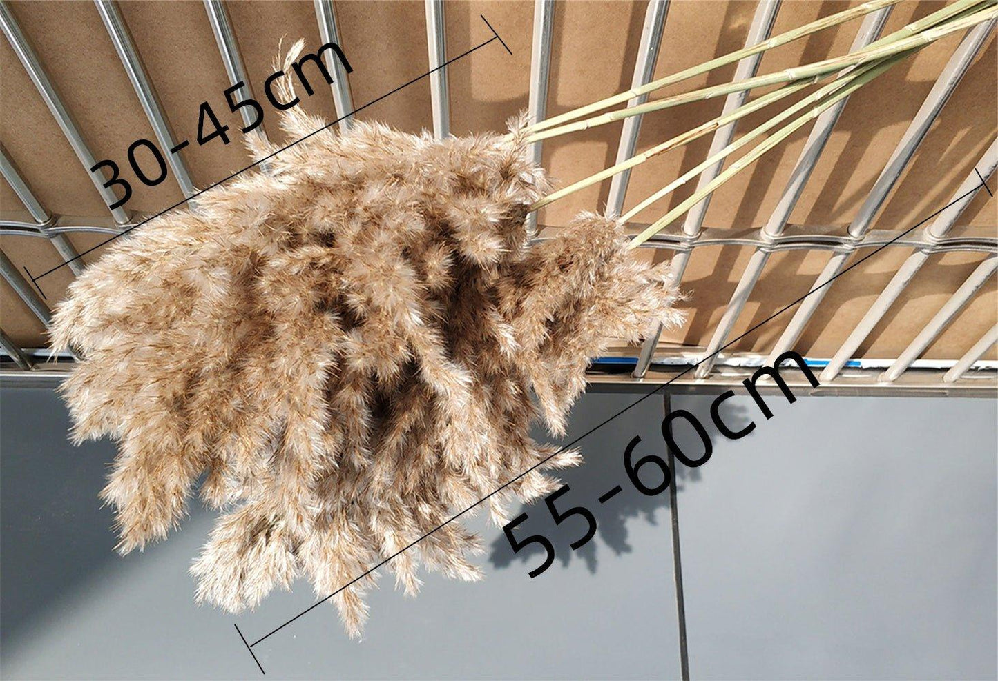 Avelena | 60 cm natürlicher, echter, braun-beiger getrockneter Pampasgrasstrauß │ flauschige Feder für moderne Boho-Heimdekoration
