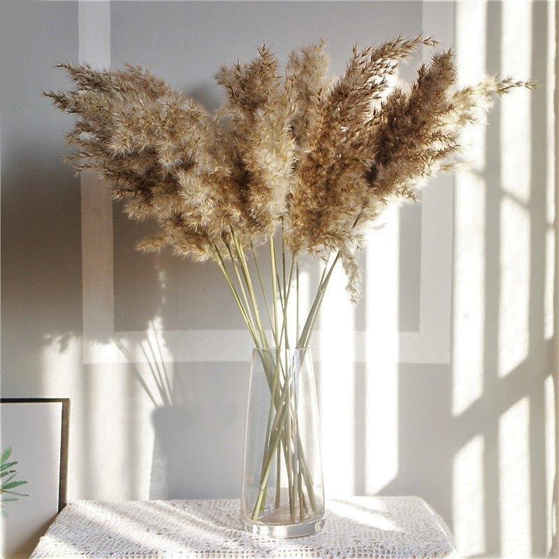 Avelena | 60 cm natürlicher, echter, braun-beiger getrockneter Pampasgrasstrauß │ flauschige Feder für moderne Boho-Heimdekoration