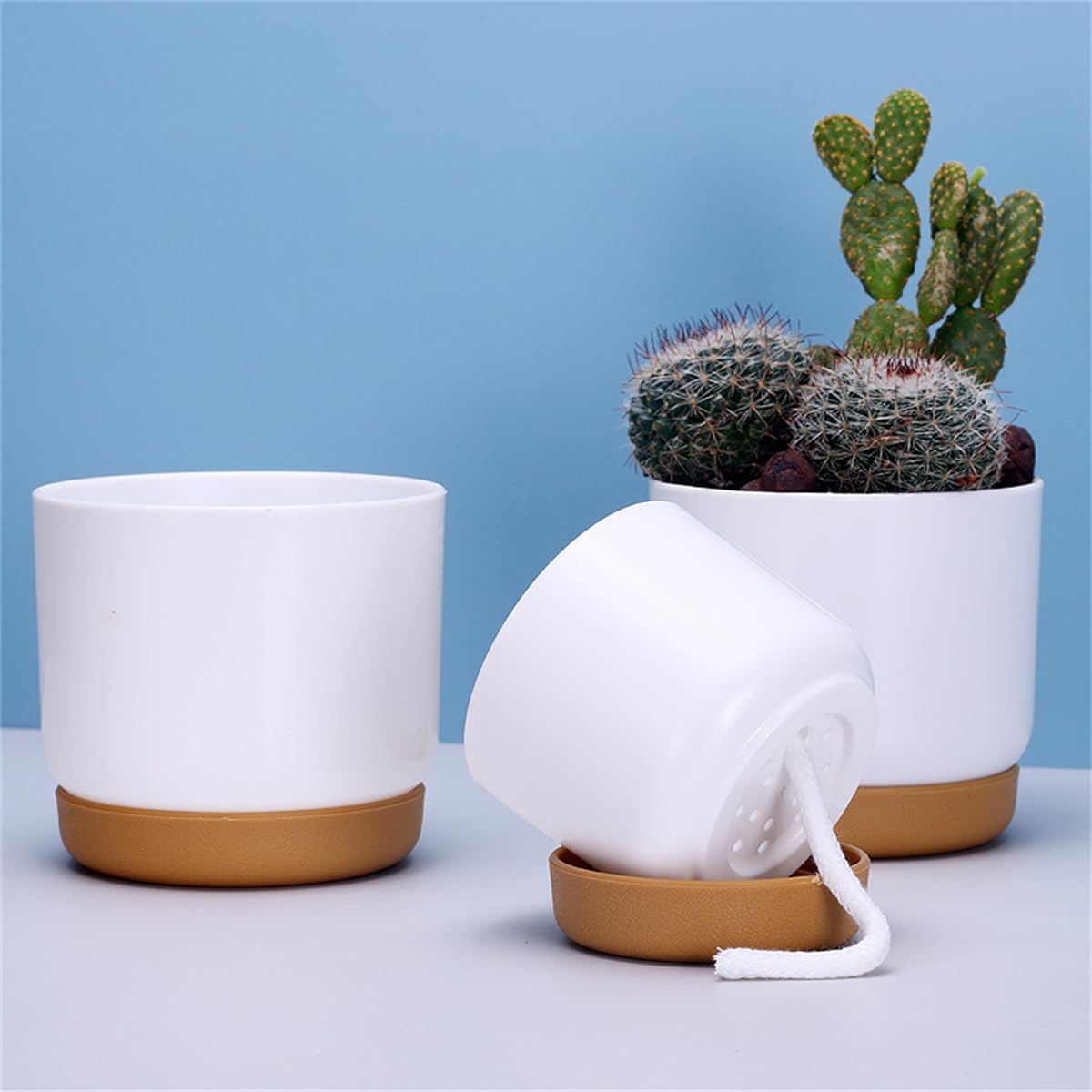 Avelena | Selbstbewässernder Blumentopf für Orchideen und Pflanzen – Kunststoff Pflanzgefäß