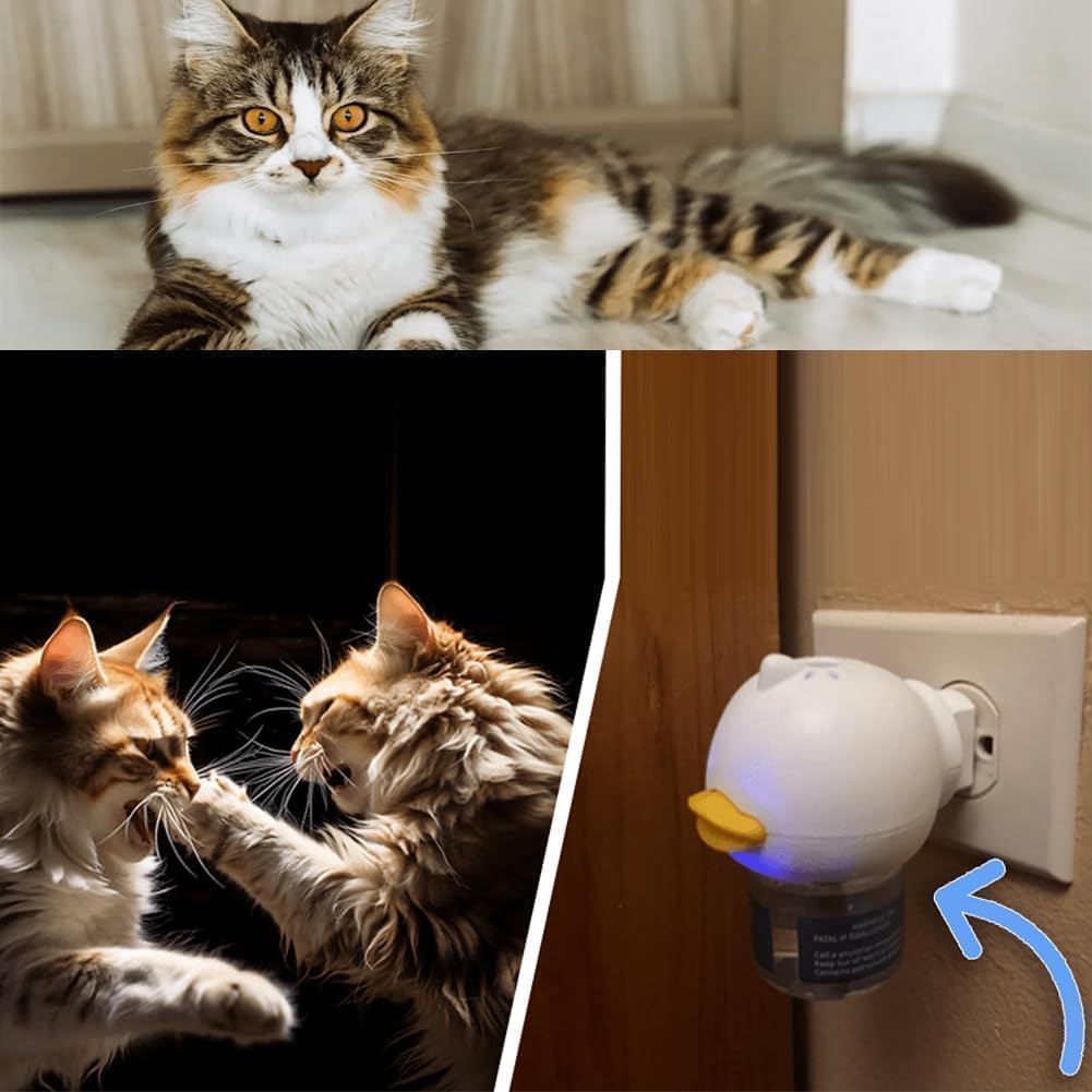 Avelena | RuhigePfoten Reduziert Katzenstress