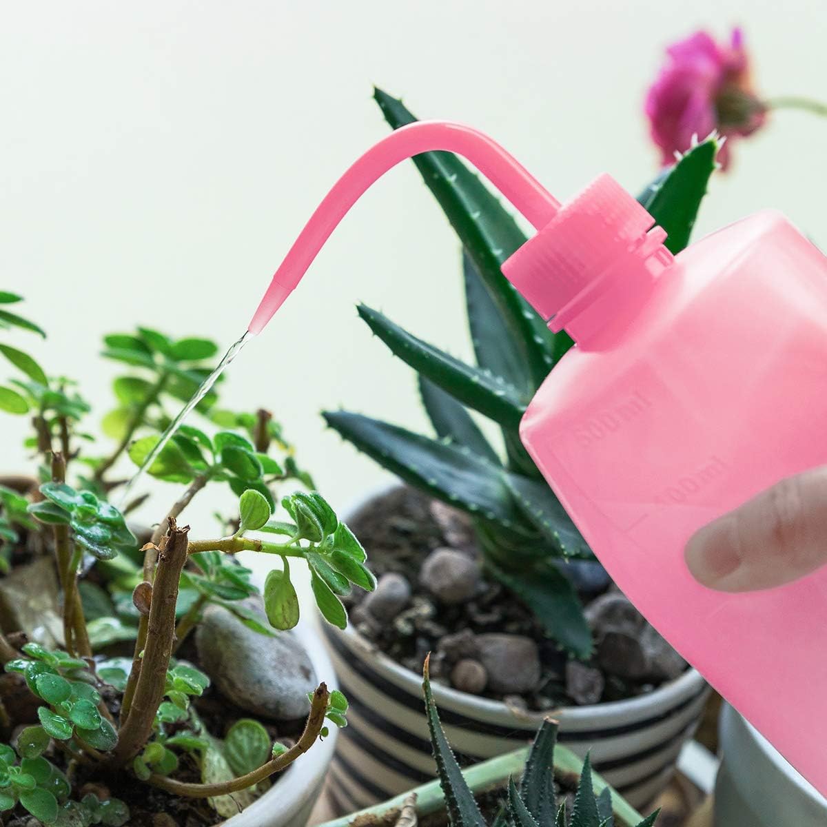 Avelena | Spot 500ml Squeeze Gießflasche – Kompakte Sprühflasche für präzises Gießen und Dosieren