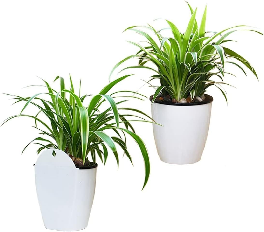 Avelena | Selbstbewässernder Hängepflanztopf – Moderner Blumentopf für Wandbefestigung