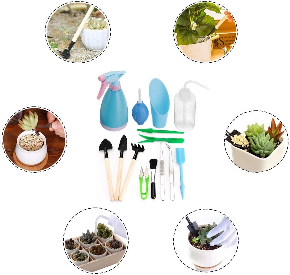 Avelena | Sukkulentengarten-Werkzeug-Set mit Sprühflasche und Zubehör