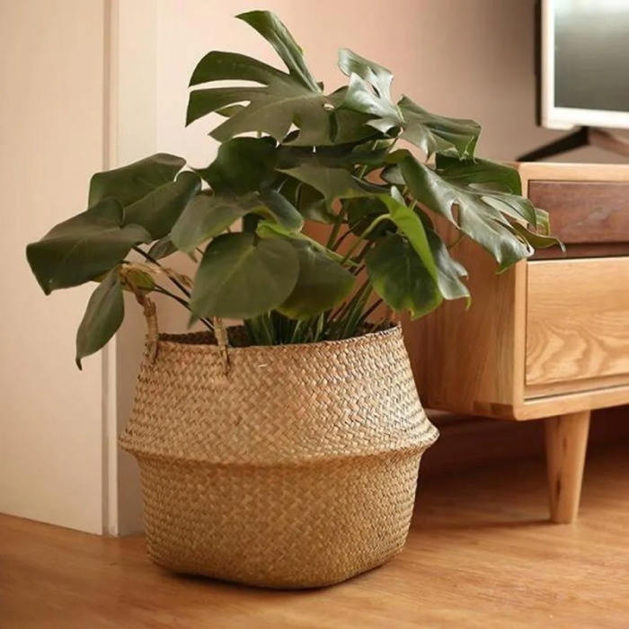 Avelena | Rattan Pflanzenhalter