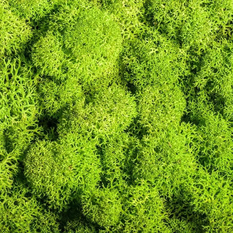 Avelena | Künstliches Moos für Landschaftsgestaltung – Moos und Blumen für Dekoration und Floristik