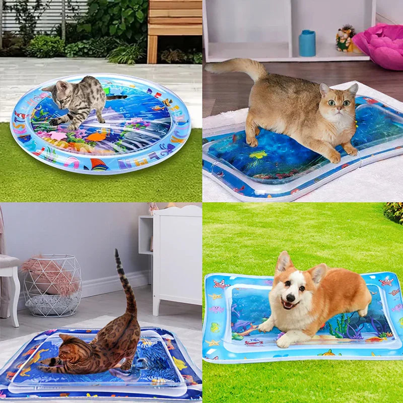 Avelena | Pet Wasser Sensorik Matte