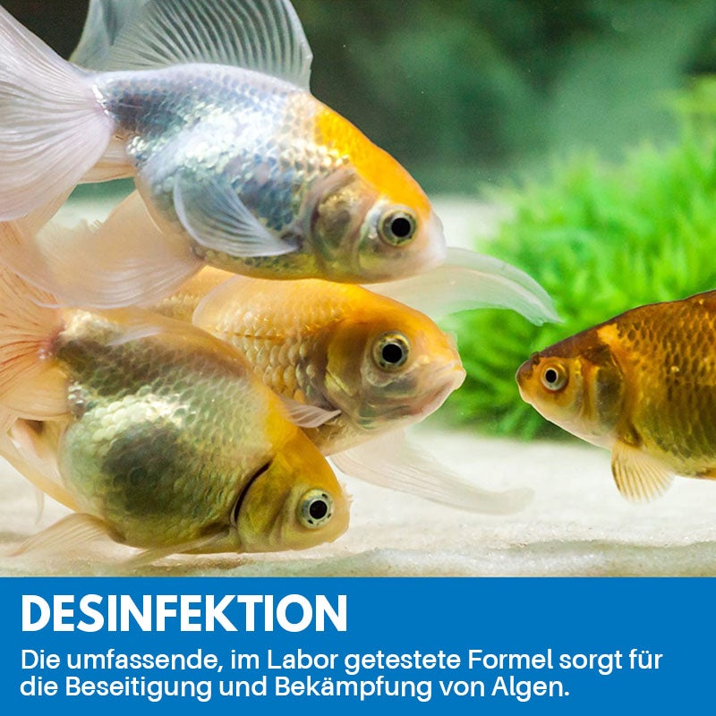 Avelena | Reinigungspulver Für Aquarium
