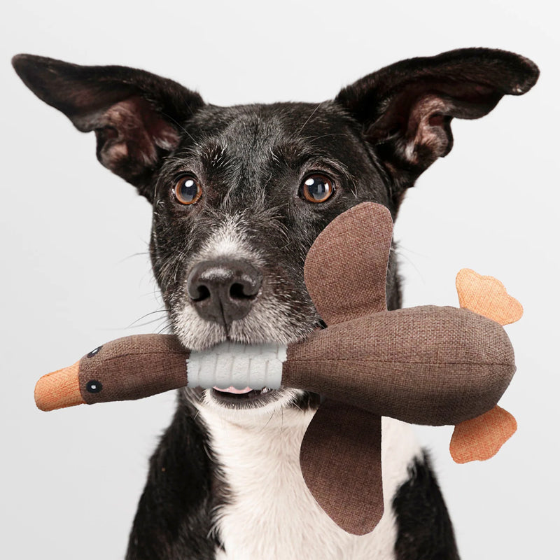Avelena | Unzerstörbares Hundespielzeug (1+1 GRATIS) - ToughGoose