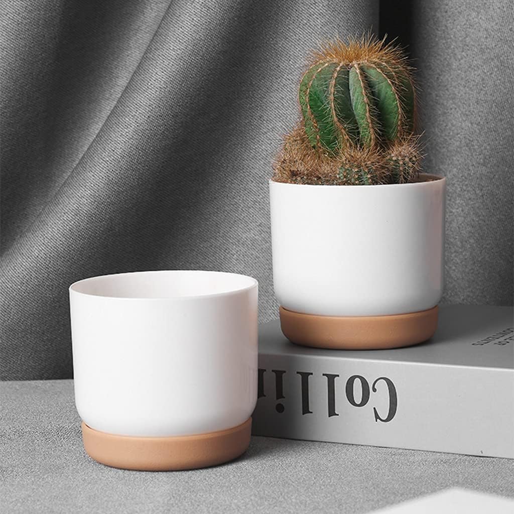 Avelena | Selbstbewässernder Blumentopf für Orchideen und Pflanzen – Kunststoff Pflanzgefäß