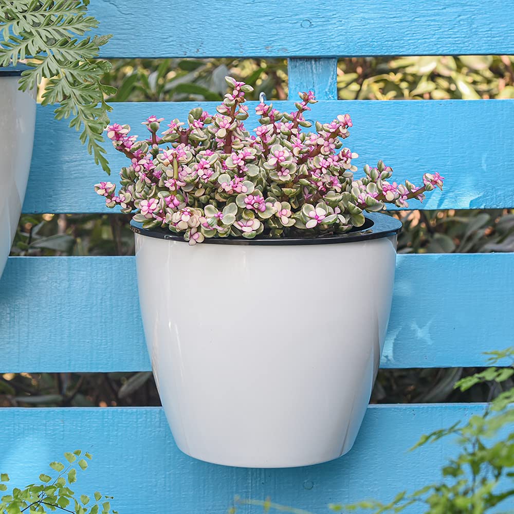 Avelena | Selbstbewässernder Hängepflanztopf – Moderner Blumentopf für Wandbefestigung