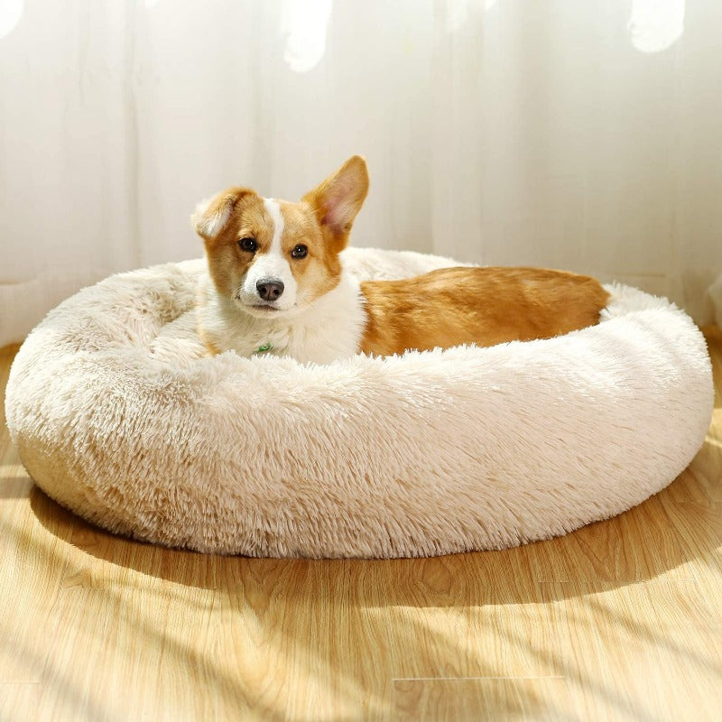 Avelena | Runder Plüsch Beruhigender Donut Hundebett für kleine bis große Hunde