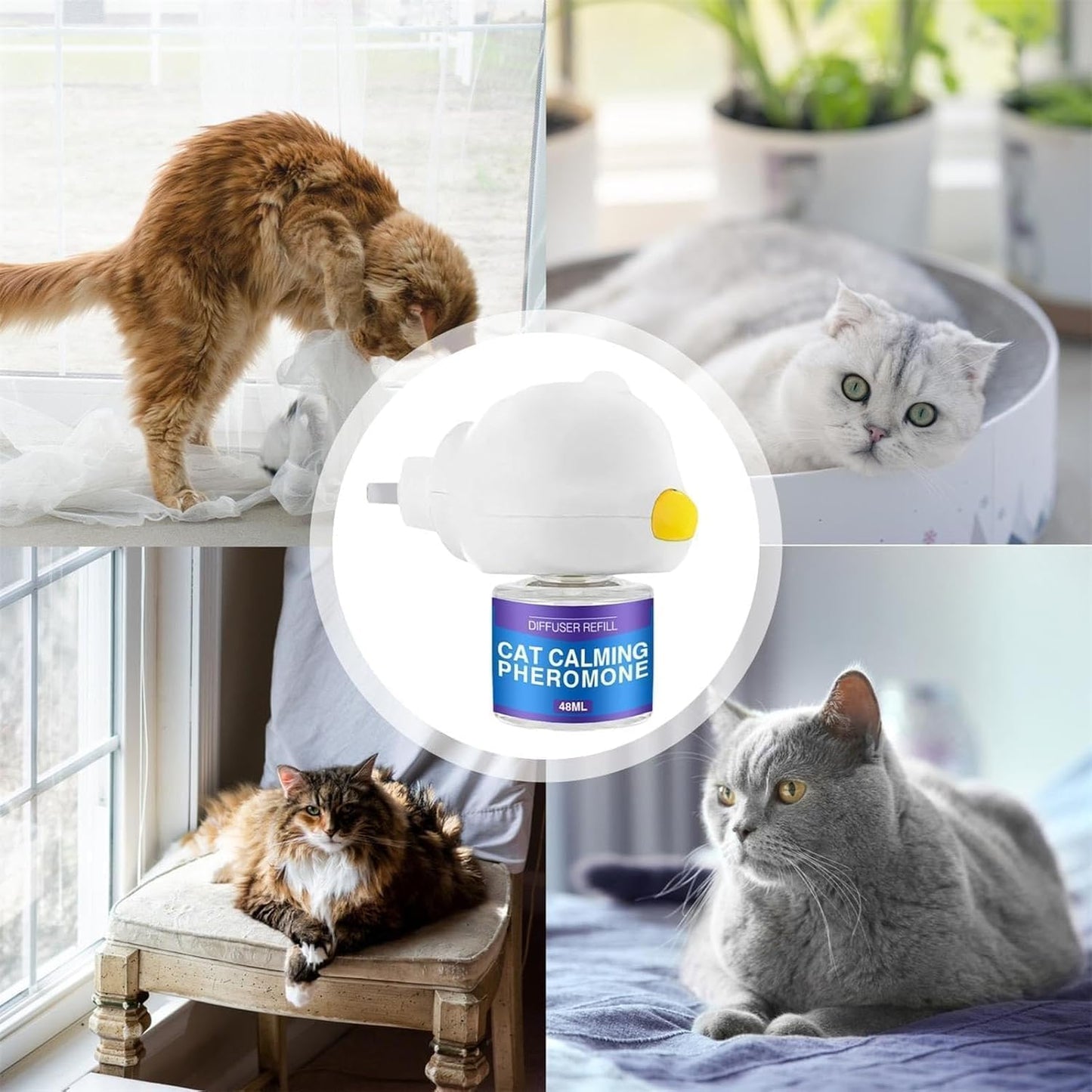 Avelena | RuhigePfoten Reduziert Katzenstress