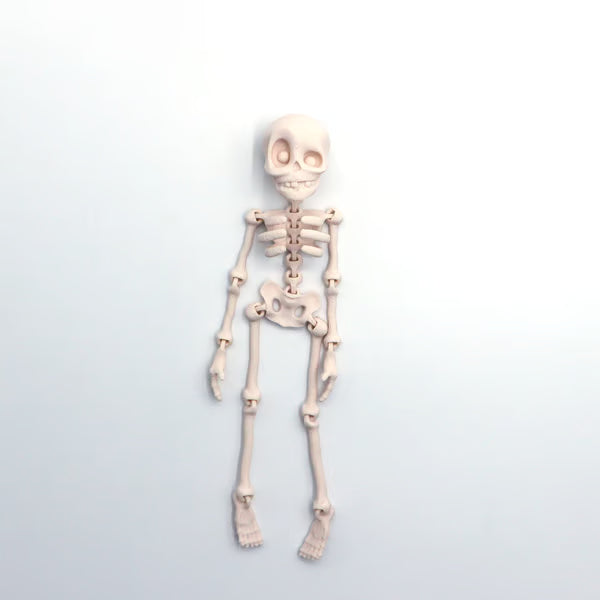 Avelena | 3D-gedruckte Vintage-Skelett-Magnetfigur 🎃
