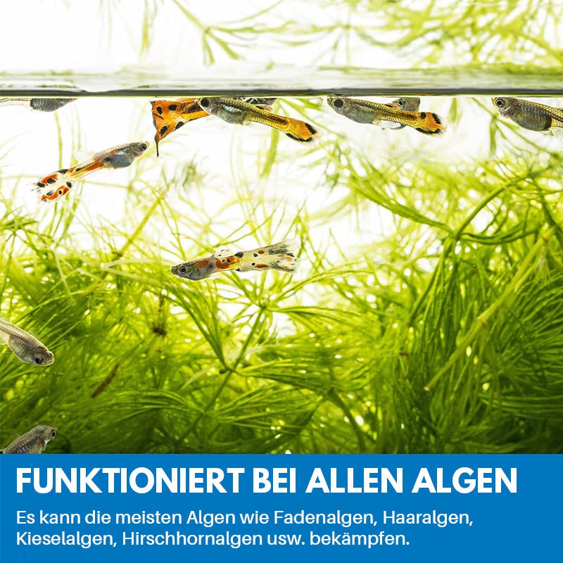 Avelena | Reinigungspulver Für Aquarium