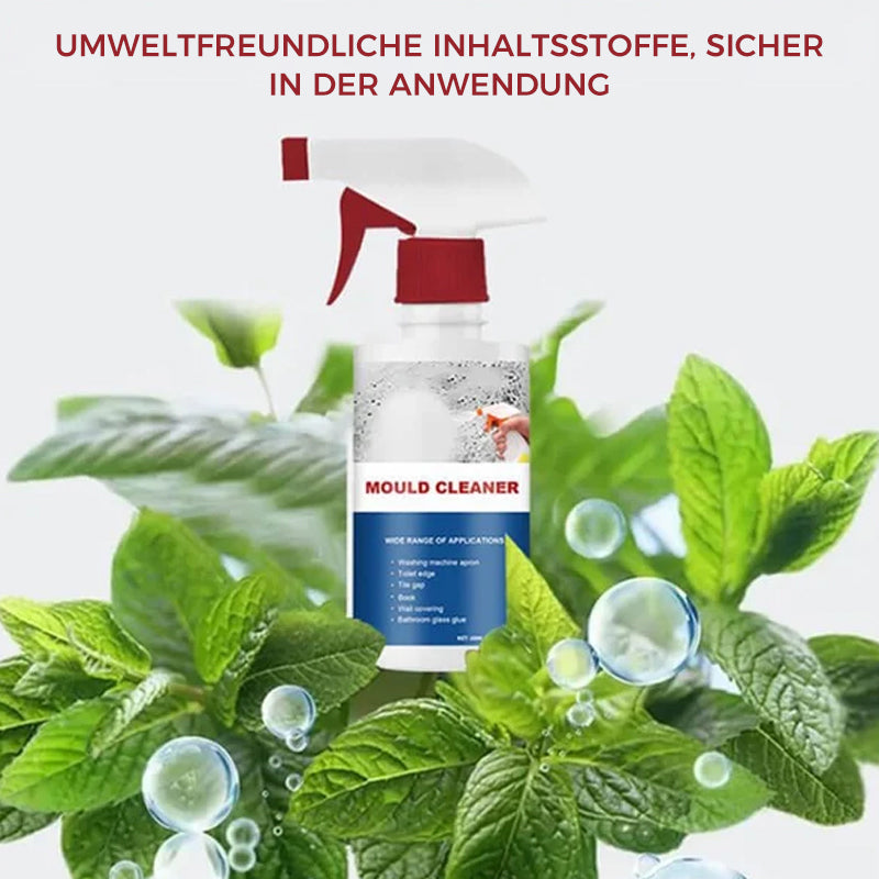 Avelena | Anti-Schimmel-Reinigungsschaum