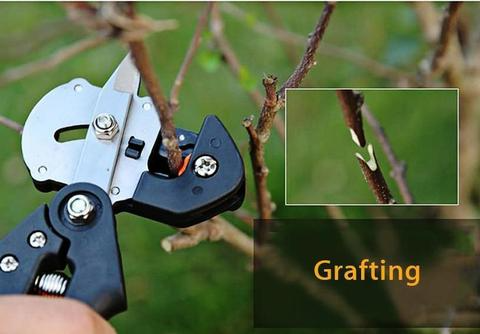 Avelena | Veredelungsschere für Garten – Präzise Schnittwerkzeuge für Grafting und Veredeln von Pflanzen