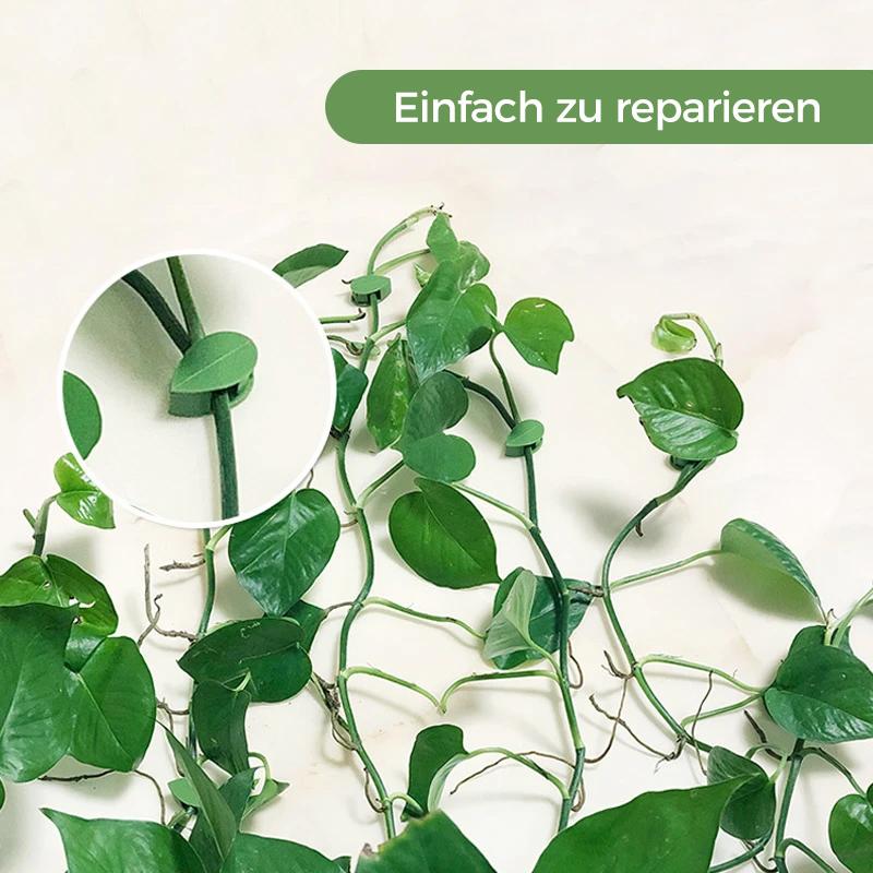 Avelena | Pflanzenkletter-Artefakt-Befestigungsclip
