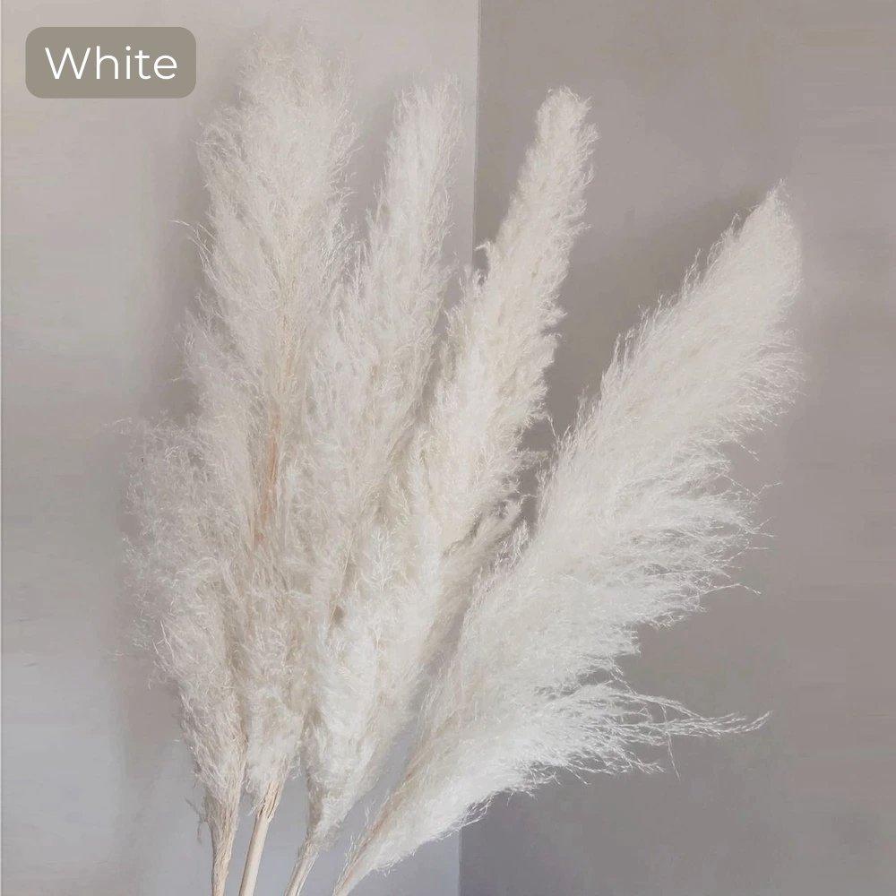 Avelena | 80 cm natürlicher, echter getrockneter Pampasgrasstrauß (weiß / beige / grau) │ flauschige Feder für moderne Boho-Heimdekoration
