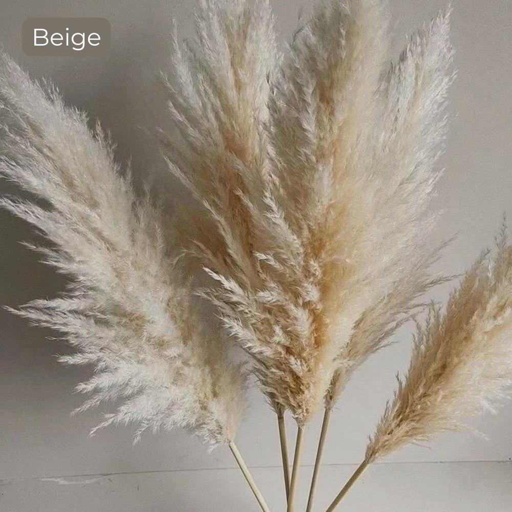 Avelena | 80 cm natürlicher, echter getrockneter Pampasgrasstrauß (weiß / beige / grau) │ flauschige Feder für moderne Boho-Heimdekoration