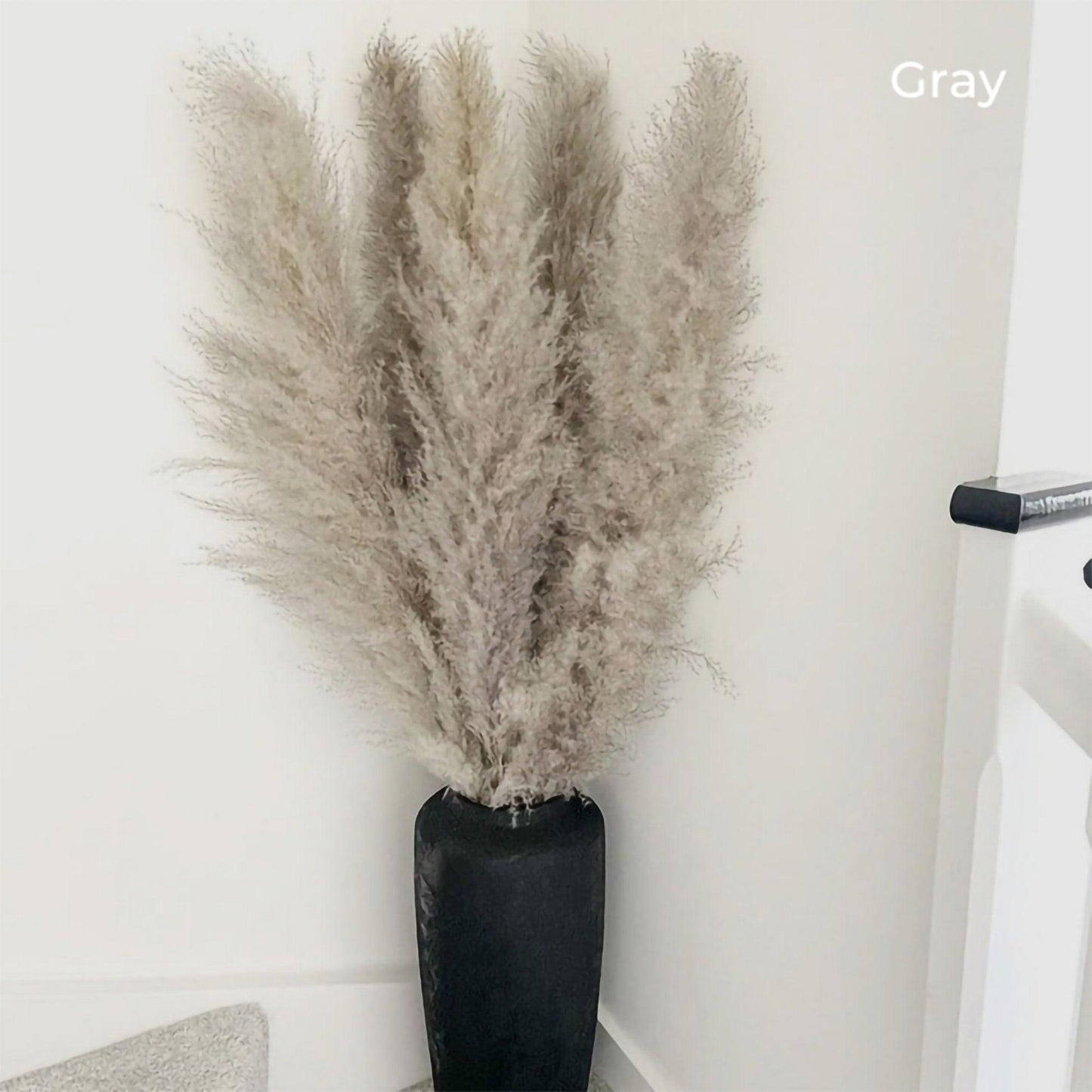 Avelena | 80 cm natürlicher, echter getrockneter Pampasgrasstrauß (weiß / beige / grau) │ flauschige Feder für moderne Boho-Heimdekoration
