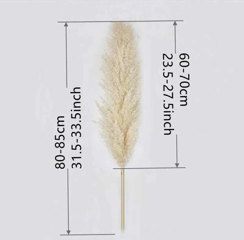 Avelena | 80 cm natürlicher, echter getrockneter Pampasgrasstrauß (weiß / beige / grau) │ flauschige Feder für moderne Boho-Heimdekoration