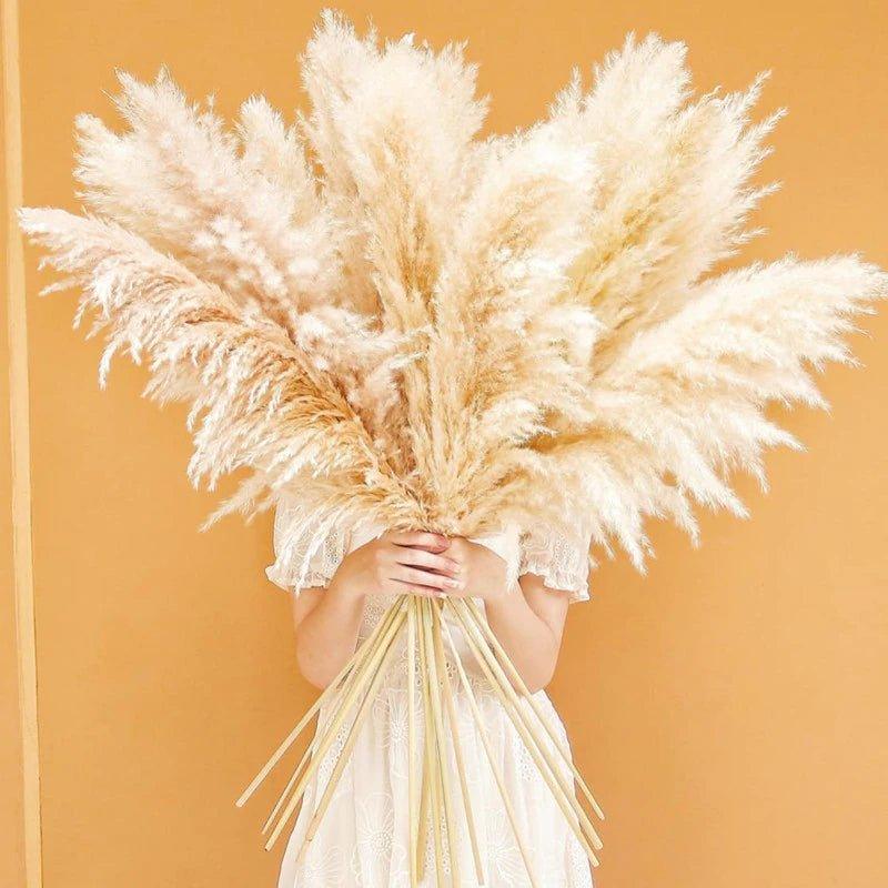 Avelena | 80 cm natürlicher, echter getrockneter Pampasgrasstrauß (weiß / beige / grau) │ flauschige Feder für moderne Boho-Heimdekoration