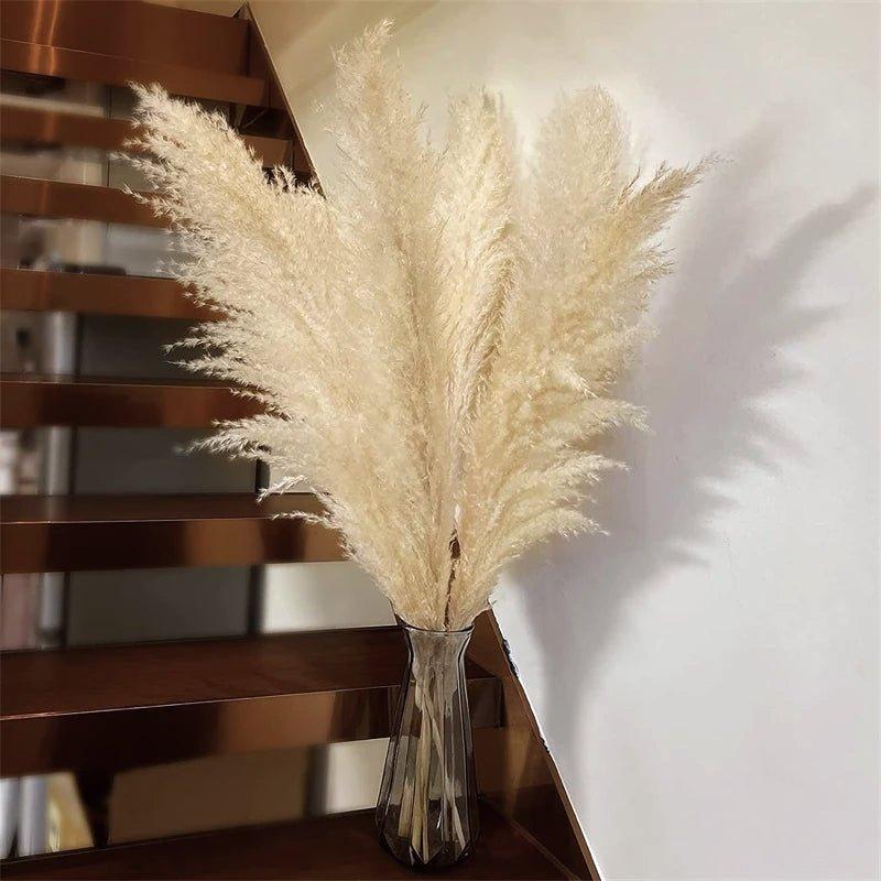 Avelena | 80 cm natürlicher, echter getrockneter Pampasgrasstrauß (weiß / beige / grau) │ flauschige Feder für moderne Boho-Heimdekoration