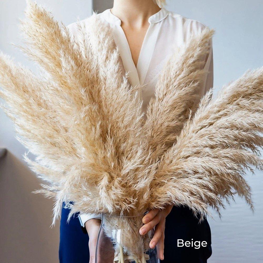 Avelena | 80 cm natürlicher, echter getrockneter Pampasgrasstrauß (weiß / beige / grau) │ flauschige Feder für moderne Boho-Heimdekoration