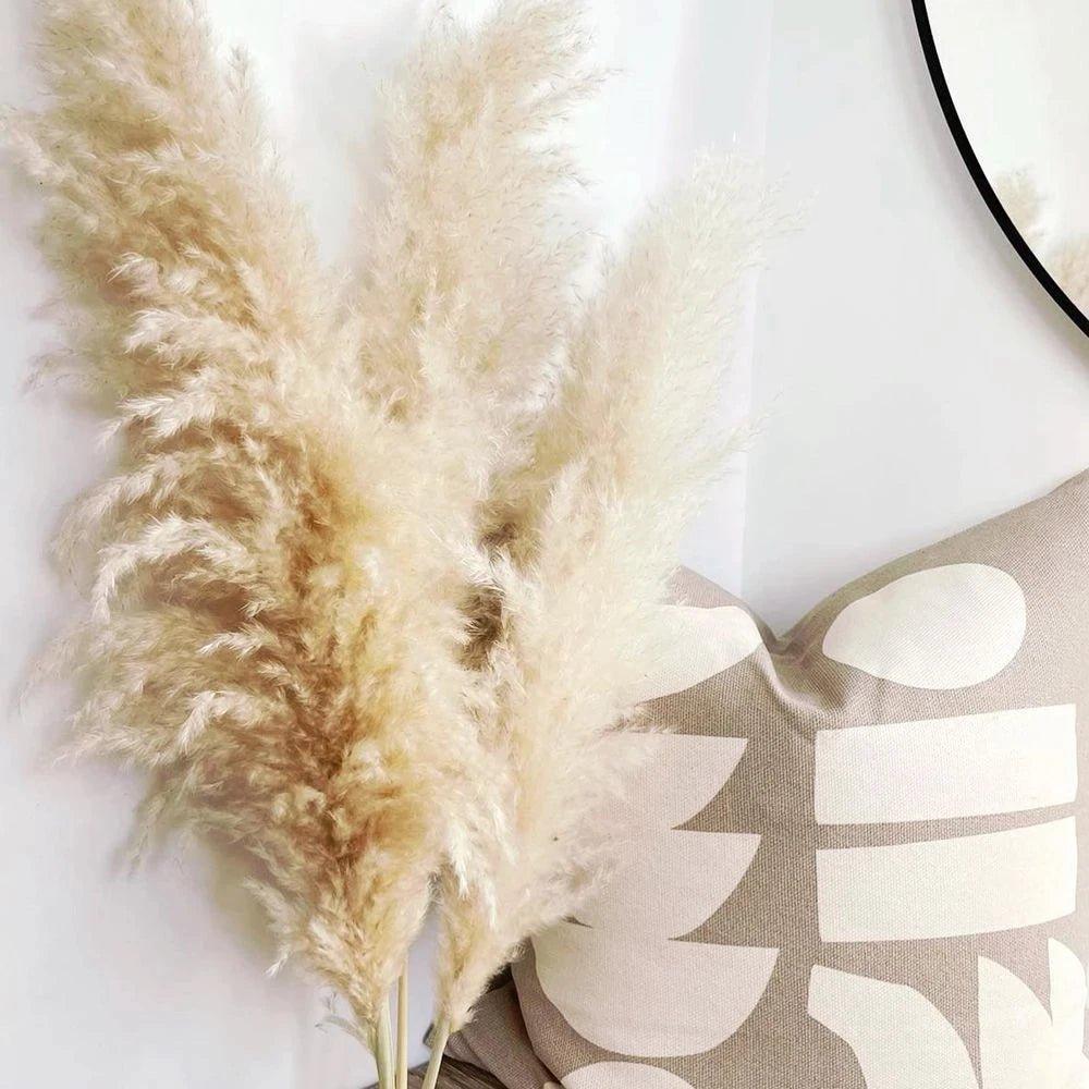 Avelena | 80 cm natürlicher, echter getrockneter Pampasgrasstrauß (weiß / beige / grau) │ flauschige Feder für moderne Boho-Heimdekoration