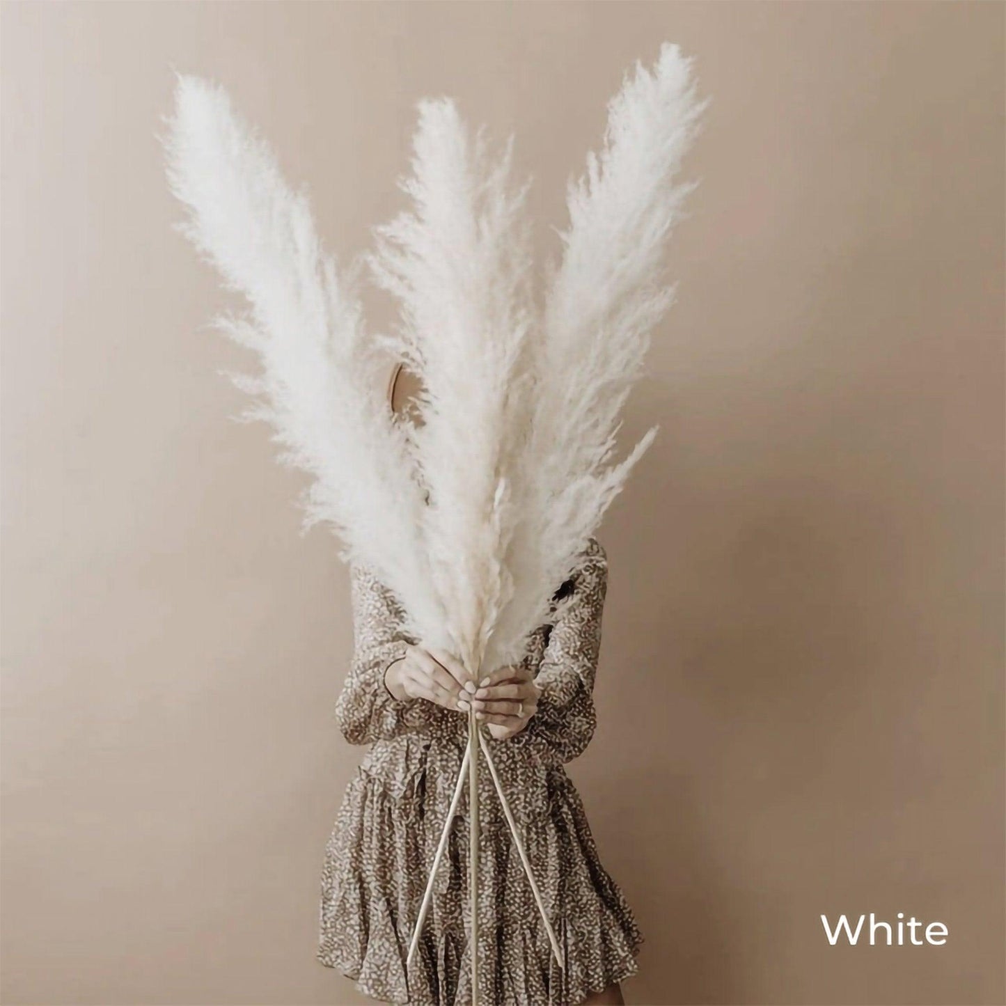 Avelena | 80 cm natürlicher, echter getrockneter Pampasgrasstrauß (weiß / beige / grau) │ flauschige Feder für moderne Boho-Heimdekoration