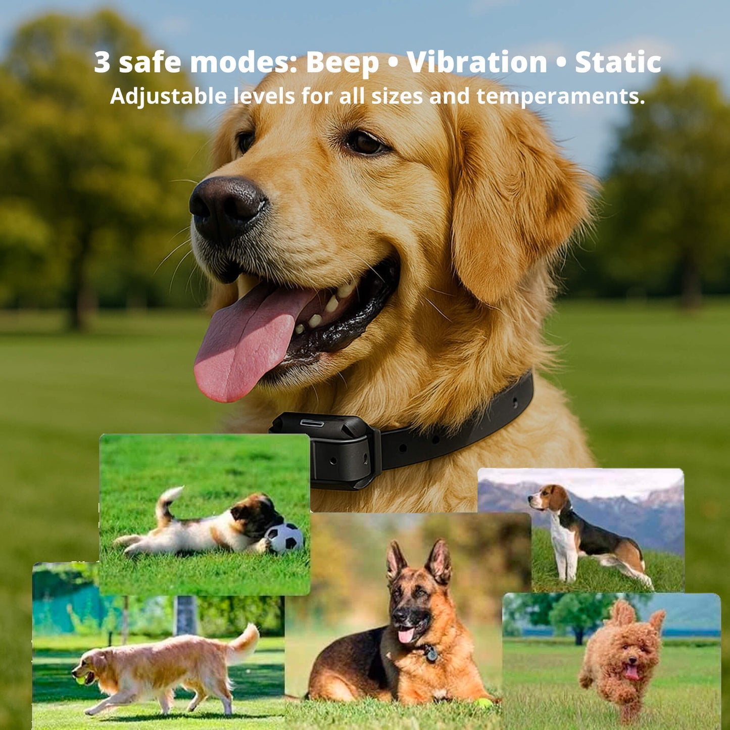 Avelena | 800M wiederaufladbares elektronisches Hundetraining-Halsband | wasserdicht, Fernbedienung & ideal für effektives Hundetraining