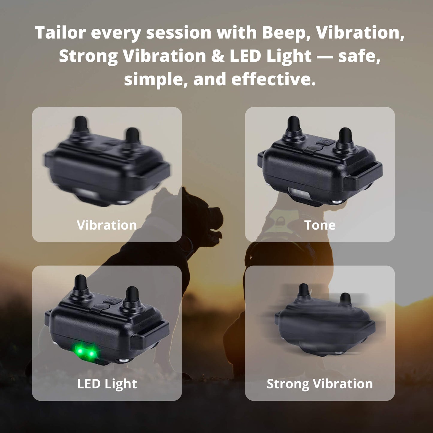 Avelena | 800M wiederaufladbares elektronisches Hundetraining-Halsband | wasserdicht, Fernbedienung & ideal für effektives Hundetraining