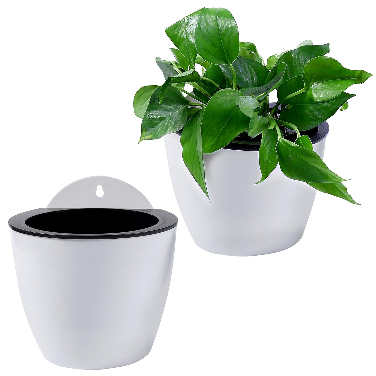 Avelena | Selbstbewässernder Hängepflanztopf – Moderner Blumentopf für Wandbefestigung