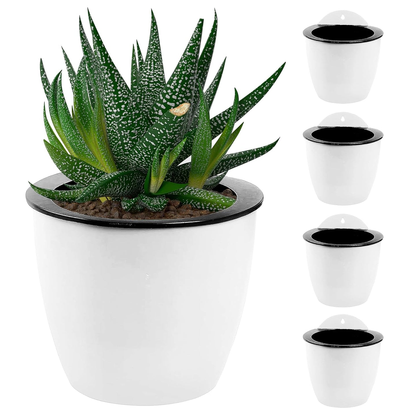 Avelena | Selbstbewässernder Hängepflanztopf – Moderner Blumentopf für Wandbefestigung