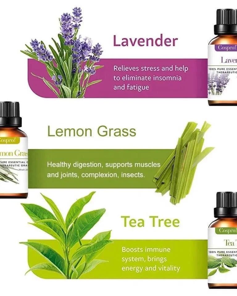 Avelena | Set Of 12 Pure Essential Oils Gift Set
