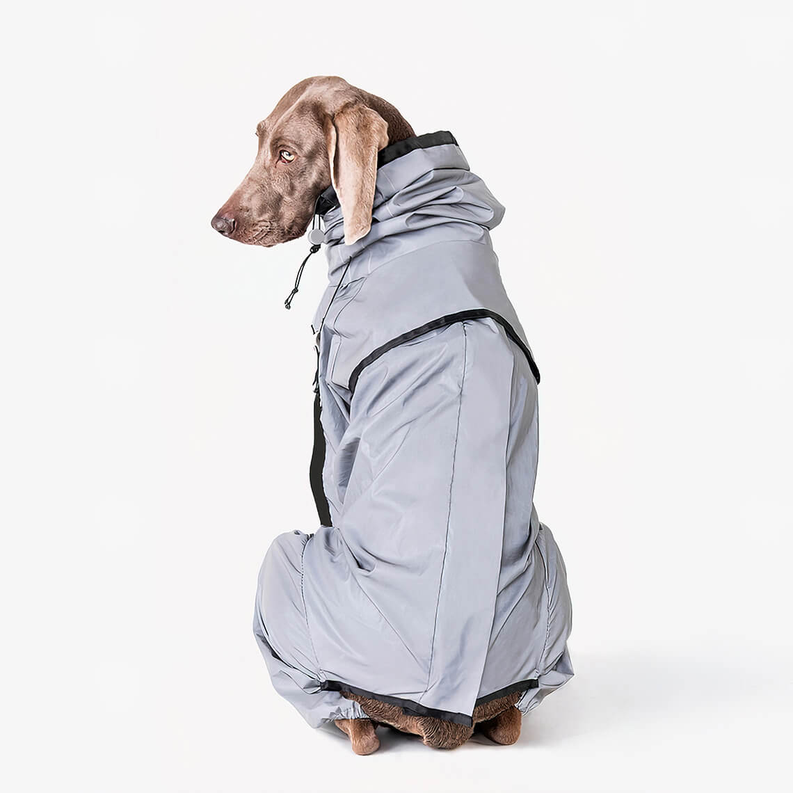 Avelena | Reflektierender Allwetter wasserdichter cooler Hundezubehör Regenmantel