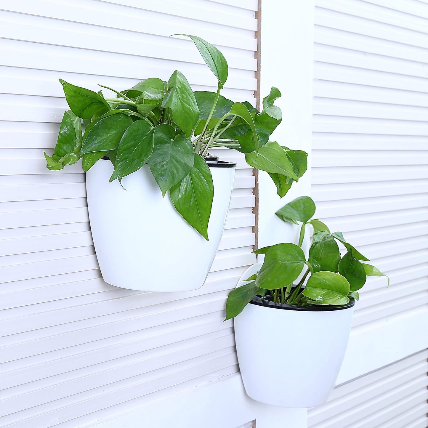 Avelena | Selbstbewässernder Hängepflanztopf – Moderner Blumentopf für Wandbefestigung
