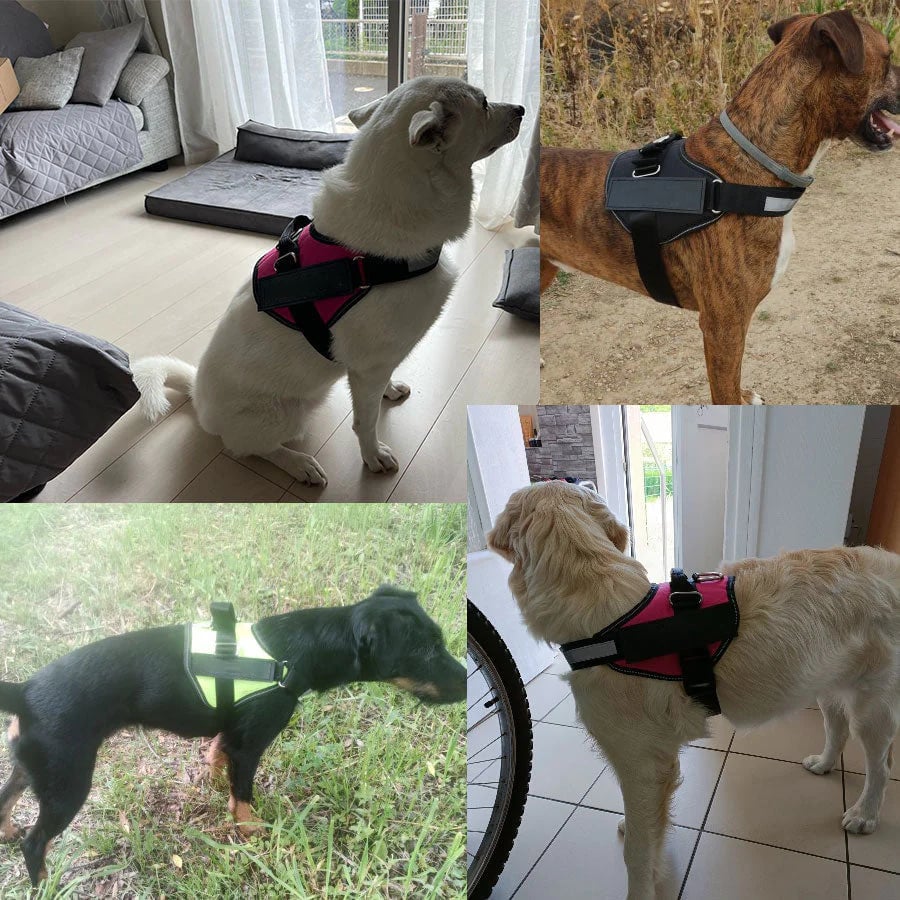 Avelena | Anti-Würgen Hundegeschirr