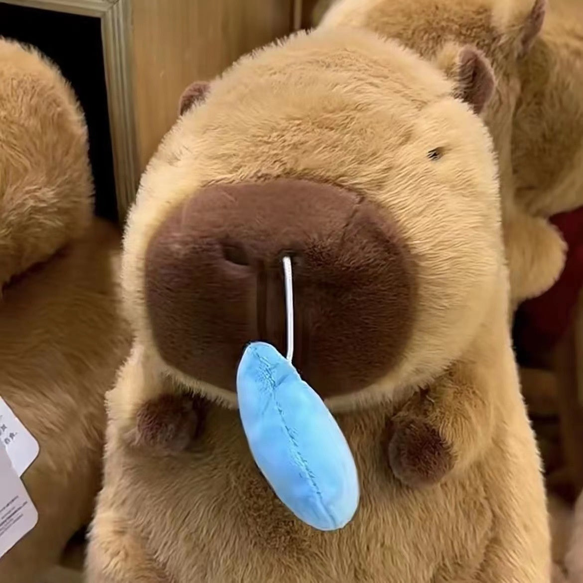 Avelena | Capybara Snot Plüsch