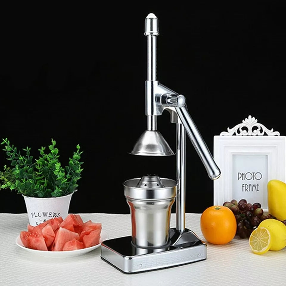Avelena | Stainless Steel Fruit Juicer