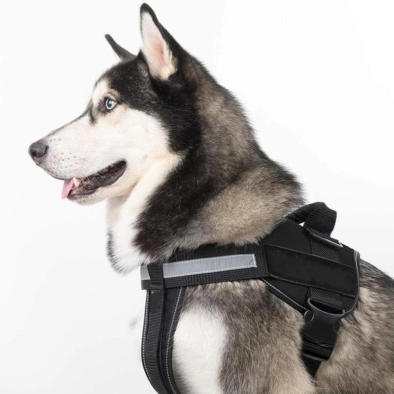 Avelena | Reflektierende all-in-one No Pull-Hundegeschirr