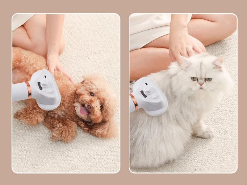 Avelena | Pet De-Shedding Spray und Föhnbürste