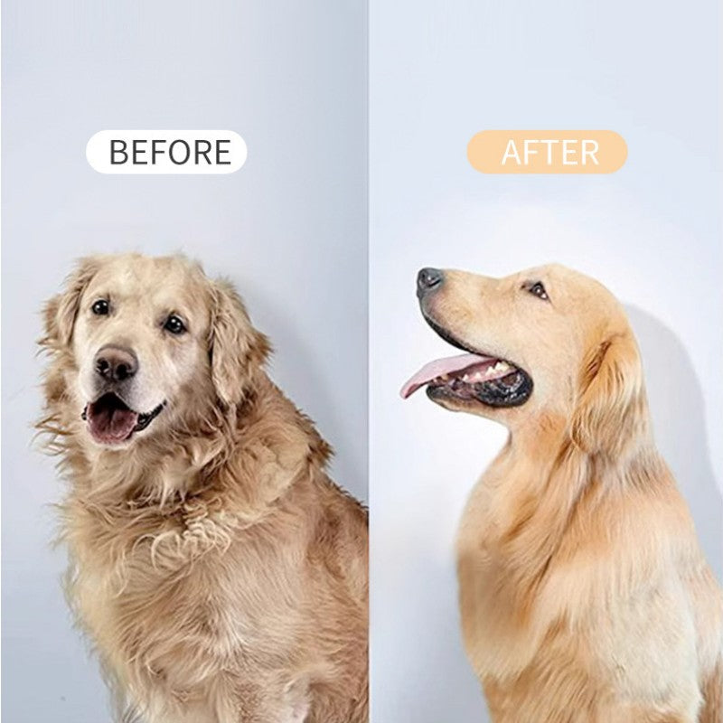 Avelena | Pet De-Shedding Spray und Föhnbürste